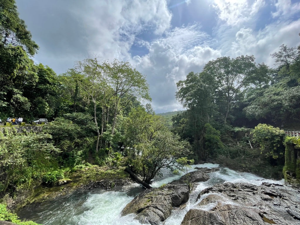 River flowing through Kerala