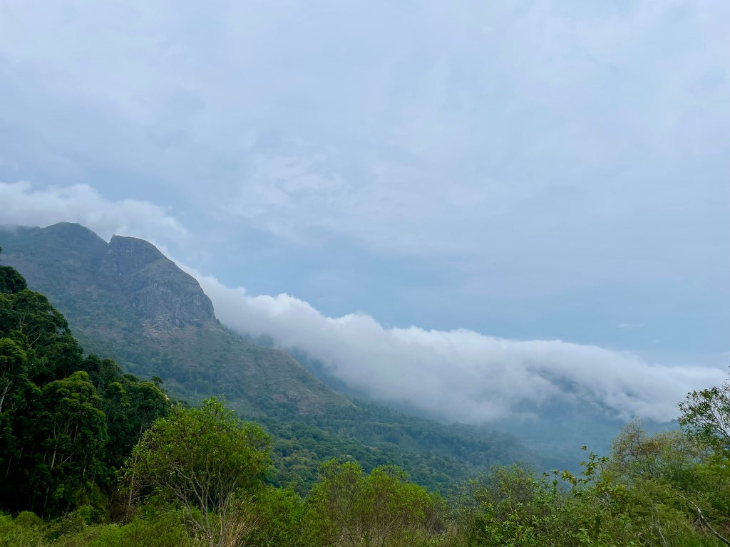 Kerala mountain landscape for Maison Kera Chapter I Men